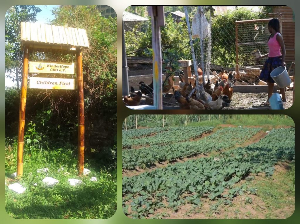 Collage von Projekten von Kinderhope CBO e. V. In der Nähe des Waisenhauses wird Wert auf Gartenanbau, Tierhaltung, Handwerk und Gesundheit gelegt. Die Kinder lernen dabei Verantwortung zu übernehmen und gibt ihnen Perspektiven.